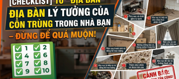 công_ty_tnhh_hóa_chất_á_đông