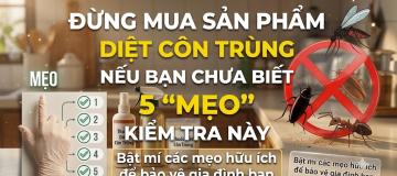 công_ty_tnhh_hóa_chất_á_đông